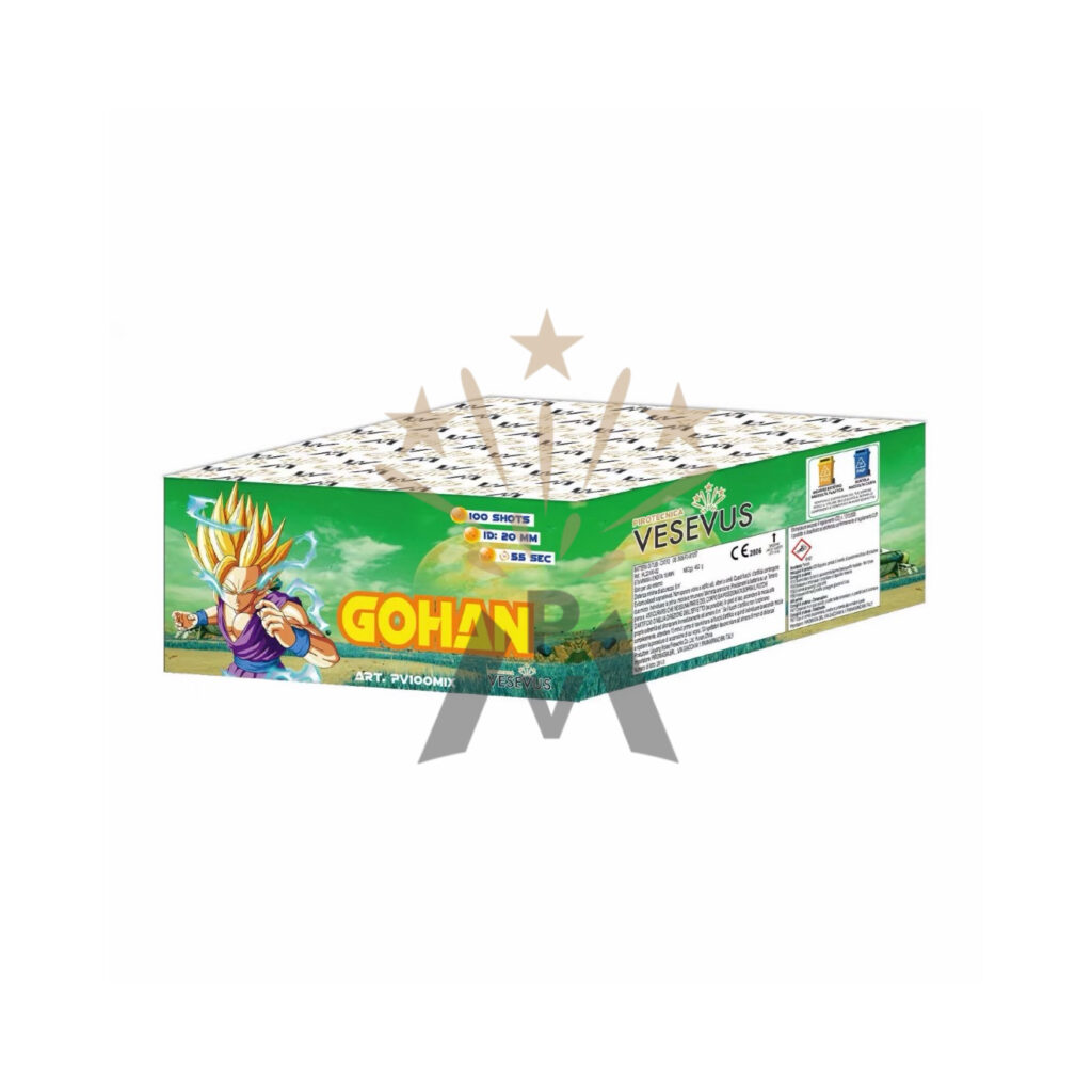 GOHAN 100 LANCI