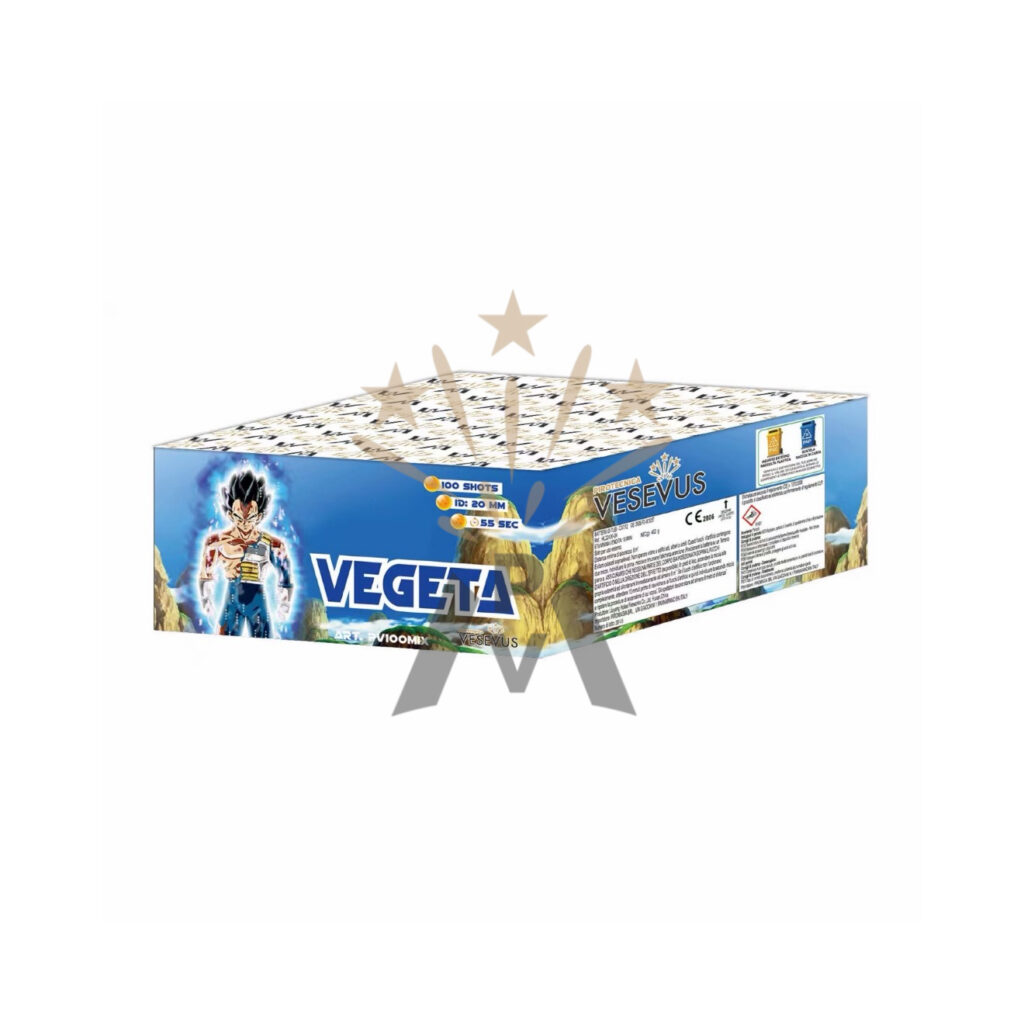 VEGETA 100 LANCI